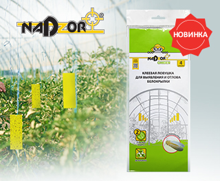Встречайте новинку Nadzor Garden